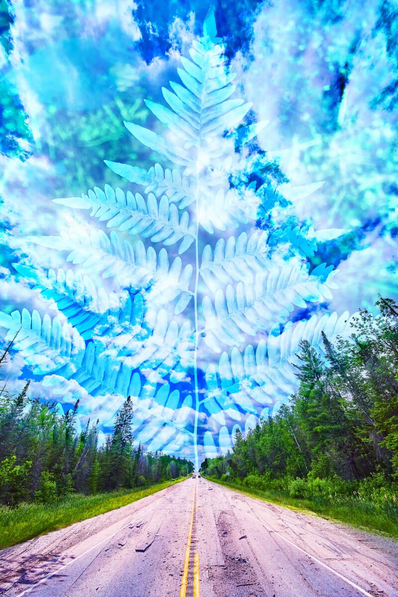 Fern Clouds Over Road
