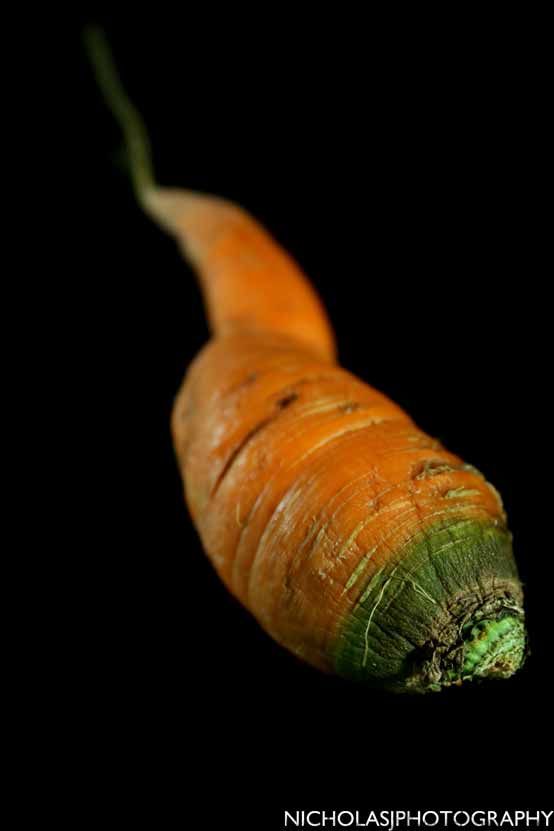 carrot 3