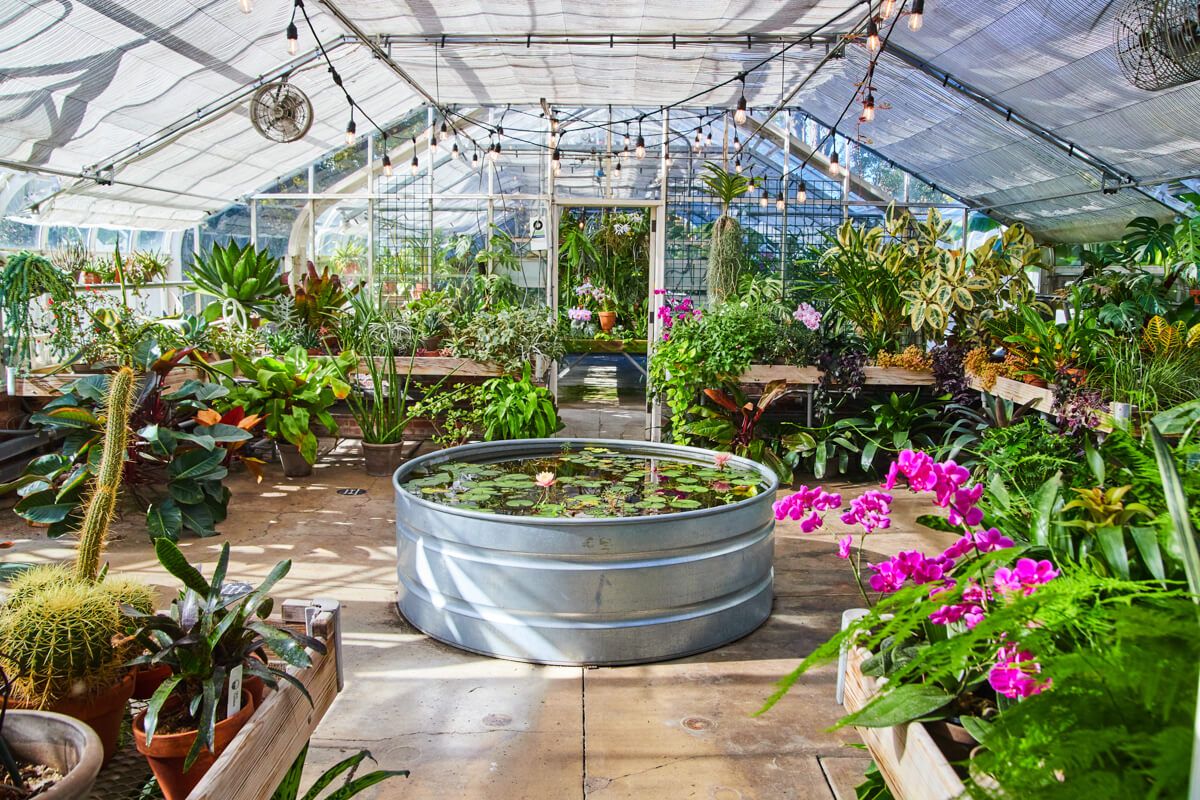 Stunning Greenhouse