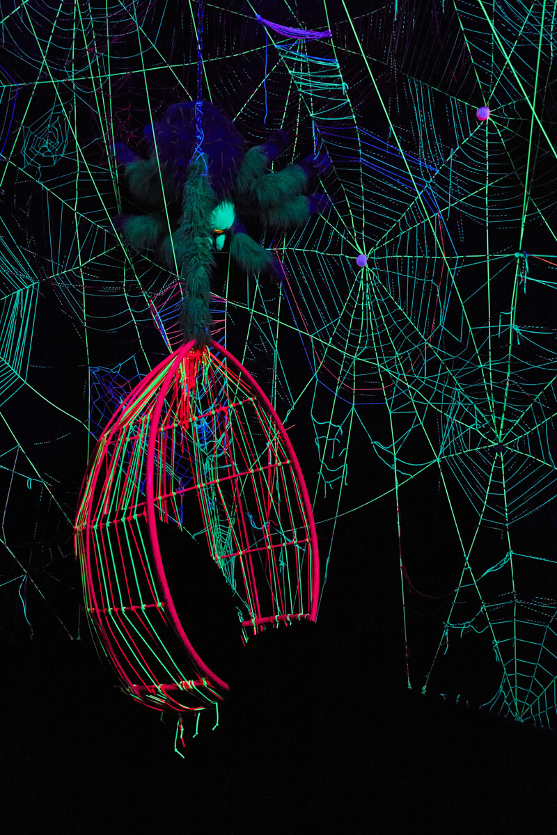 Neon webs and spider over chair