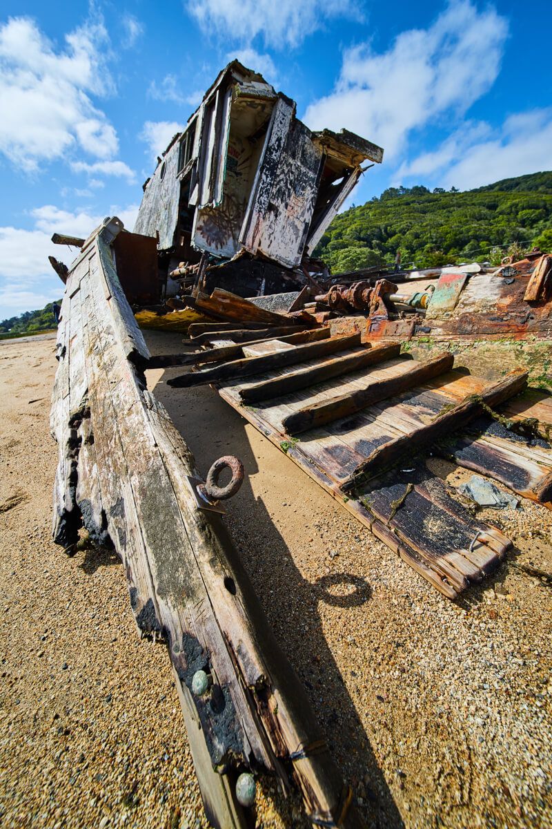 Point Reyes Shipwreck back
