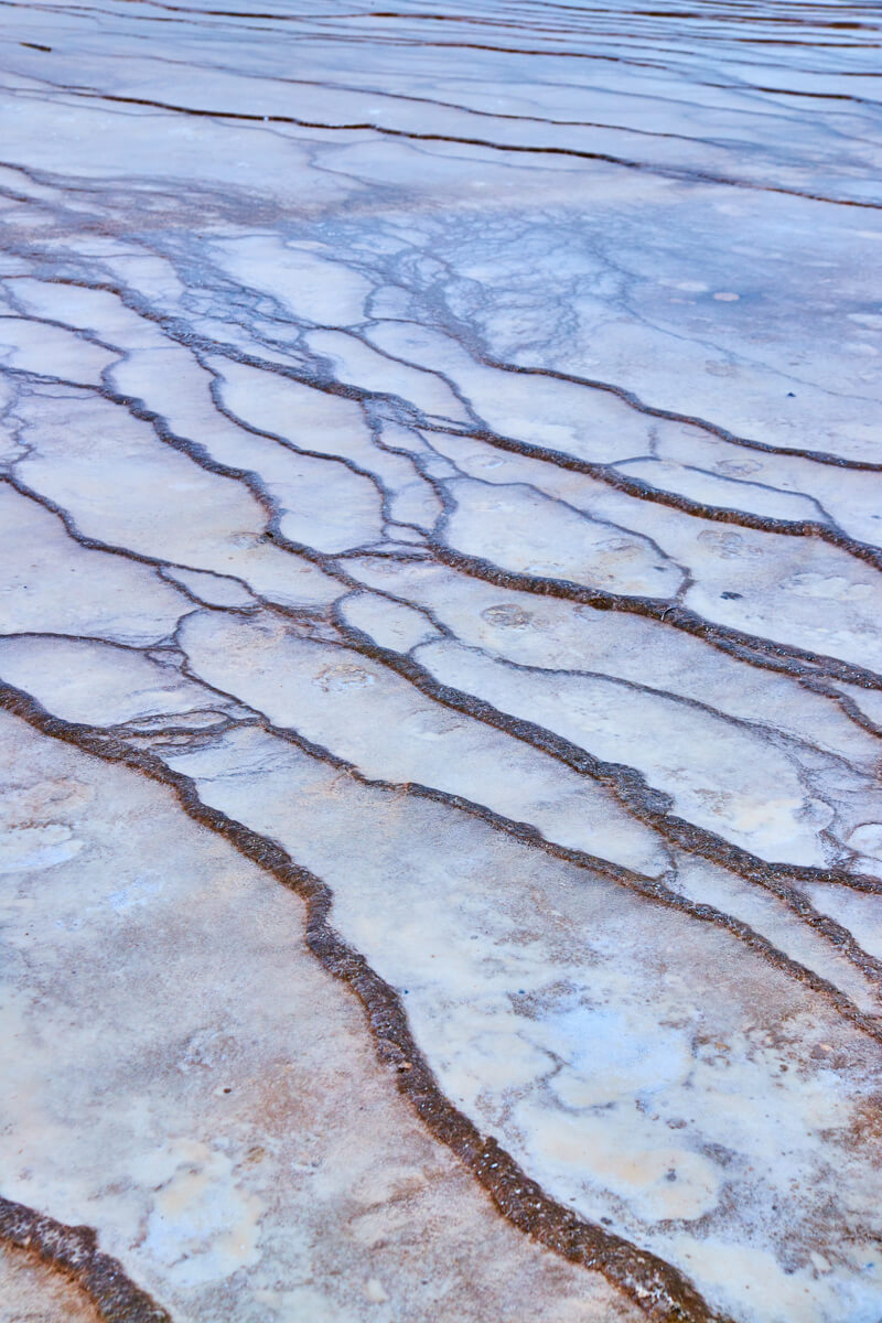 Detail of ground at Grand Prismatic Spring