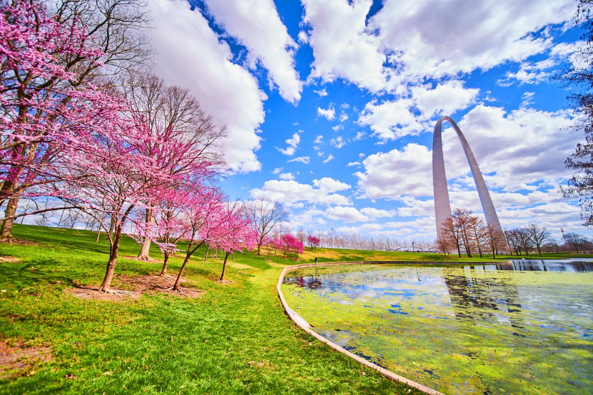 Gateway Arch from pond with cherry trees