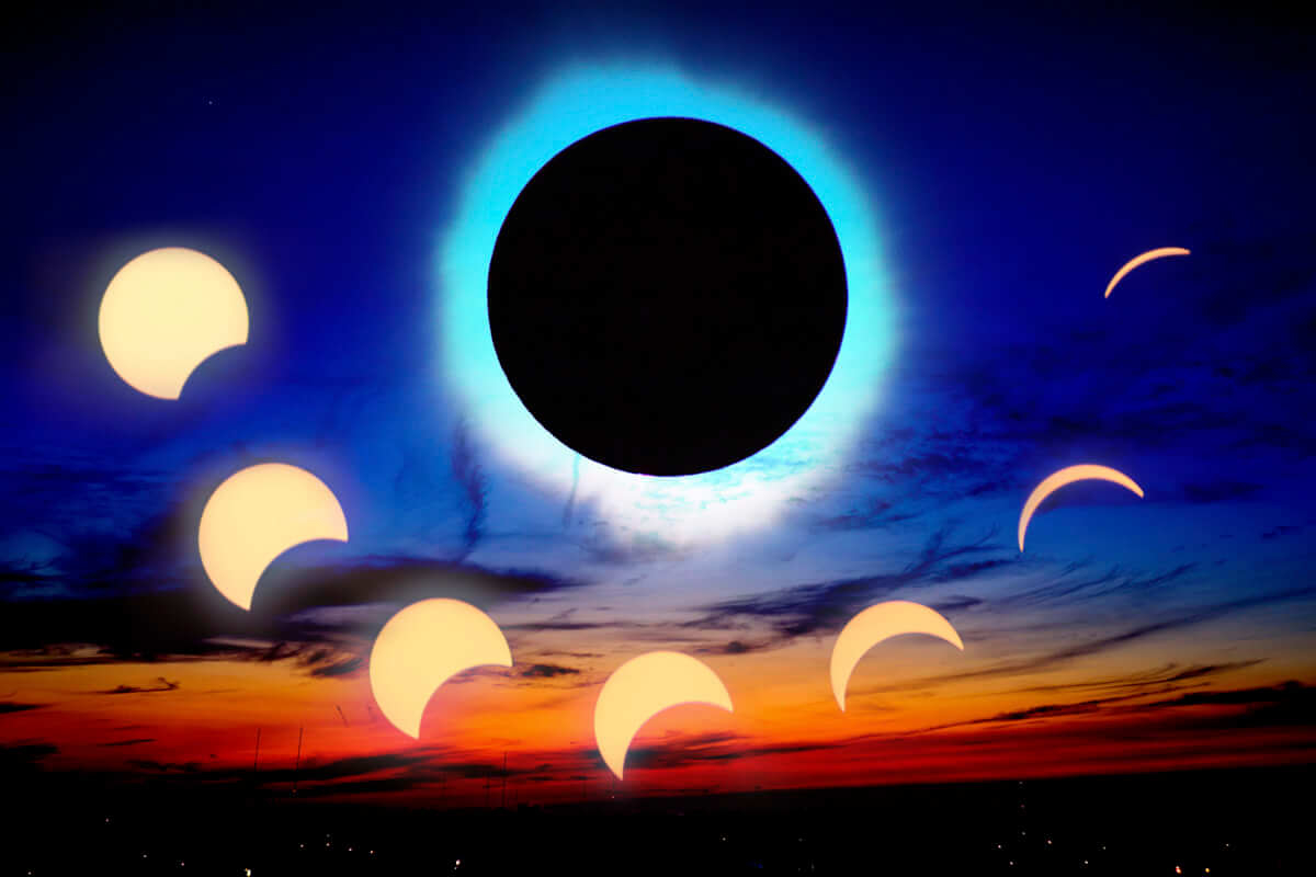Totality Collage