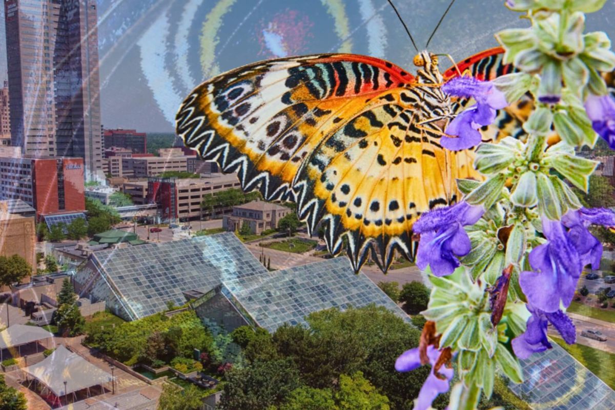 Fort Wayne Botanical Conservatory Butterfly Exhibit