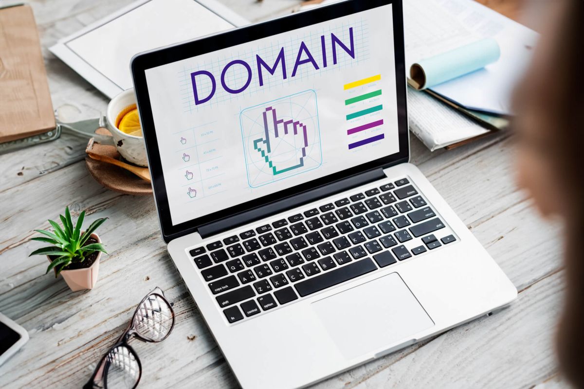 Navigating the Domain Game